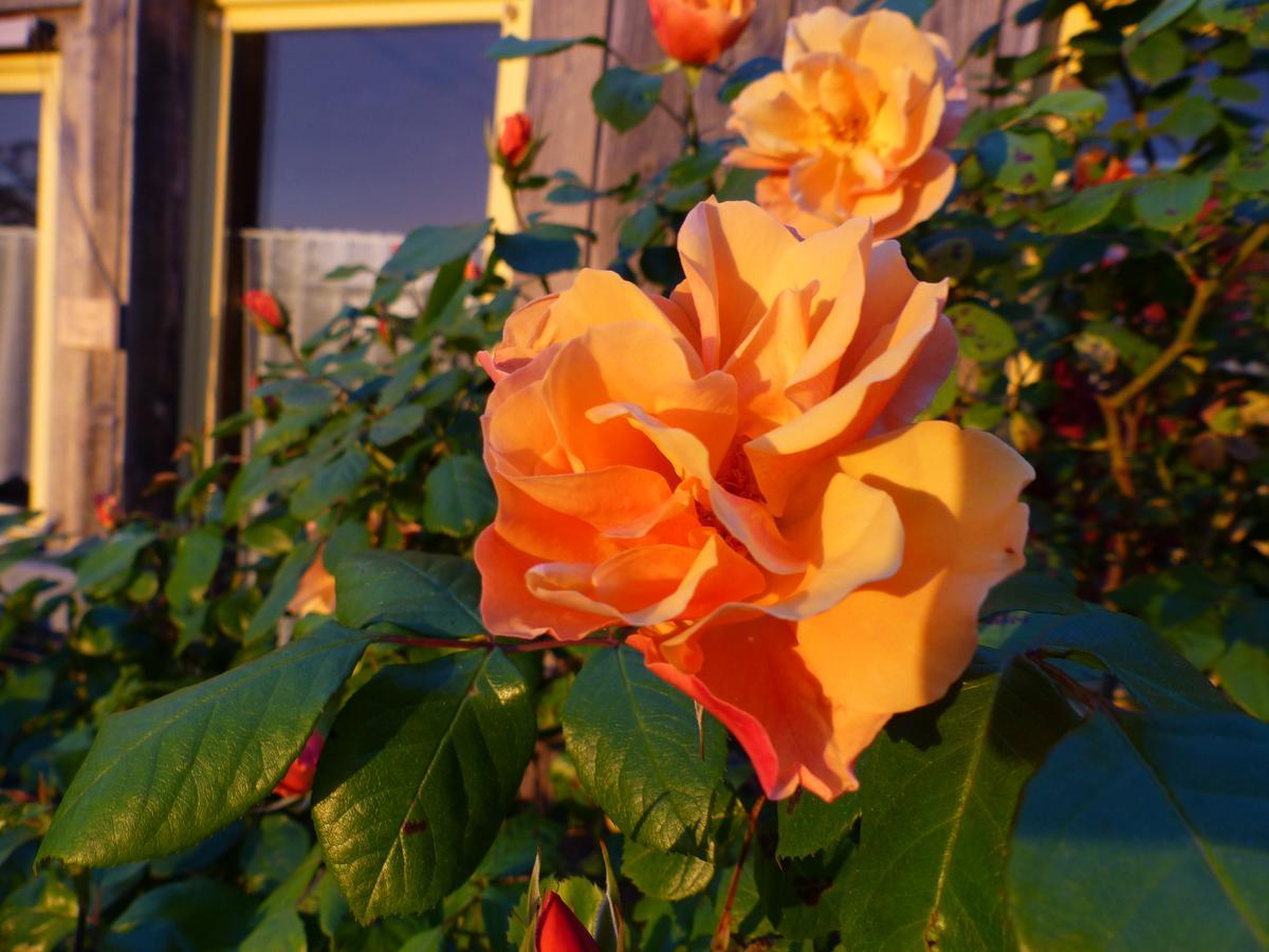 La Maison Rouge โชวิญี ภายนอก รูปภาพ